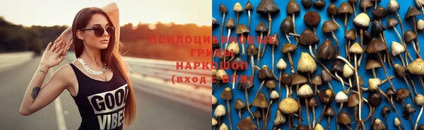 шишки Белоозёрский