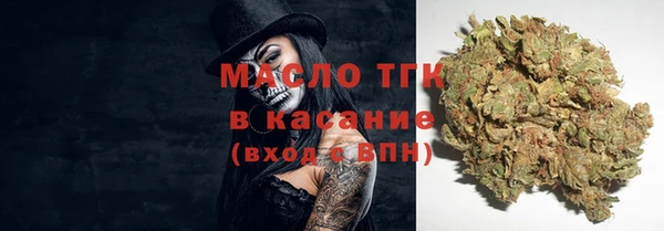 шишки Белоозёрский