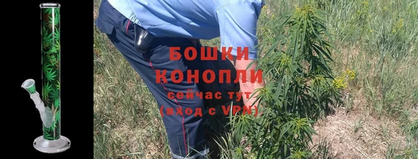 гидра Белокуриха