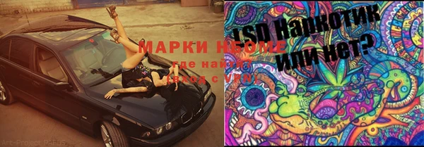 гидра Белокуриха