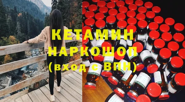 шишки Белоозёрский