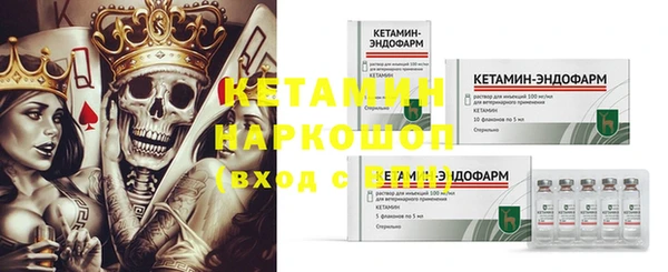 гидра Белокуриха