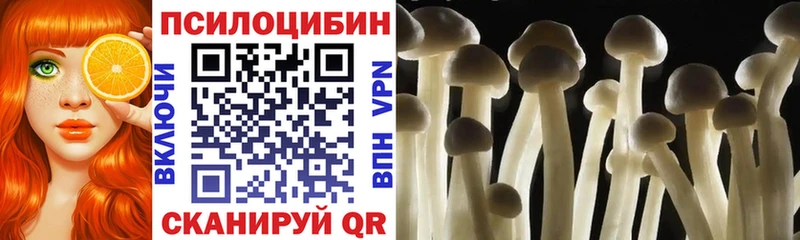 Псилоцибиновые грибы Psilocybe  хочу наркоту  Городище 
